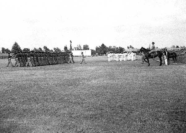1 LF colour Troop 1951325